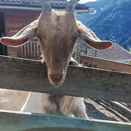 Appartamento Unterpirchhof By Interhome Thumersbach