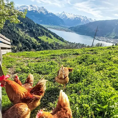 Unterpirchhof By Interhome Appartamento Thumersbach