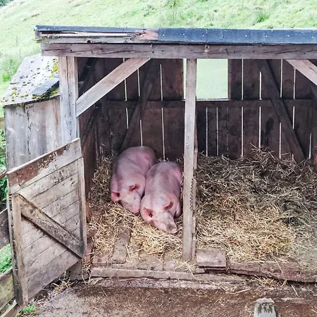 Appartamento Unterpirchhof By Interhome