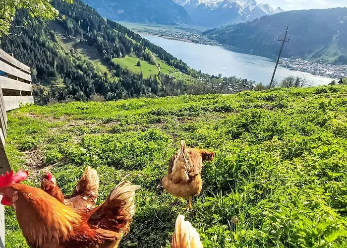 Unterpirchhof By Interhome Apartman Thumersbach